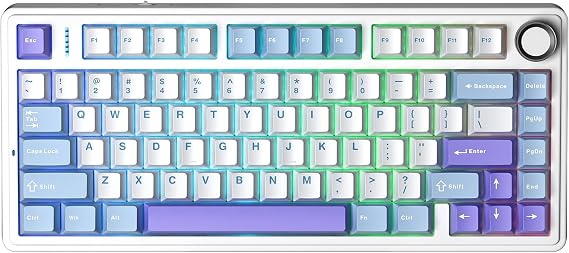 Aula F75 Mekanik RGB TKL Star Vector Switch Kablosuz Makrolu Hot Swap Klavye Mor