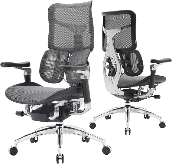 SIHOO Doro S300 Ergonomic Office Chair, Full-Body Coordinated Support