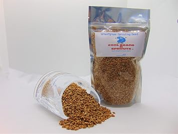 Wheatgrass Seeds for Sprouting Microgreens,4 oz A Rich Source of Vitamins and Minerals and Health-Promoting Nutrients! COOL BEANS N SPROUTS Brand, A Small Town Family Run USA Business.