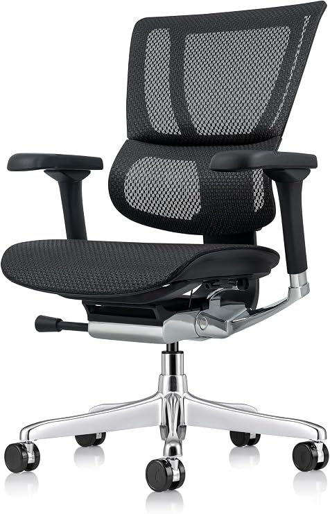 Ergohuman Eurotech ME3ERG-XTREME Mid Back Mesh Office Chair with Tilt Tension Control, Tilt Lock, Back Angle, Back Height, Synchro Tilt, Seat Height, Seat Depth, and Arm Height Adjustments