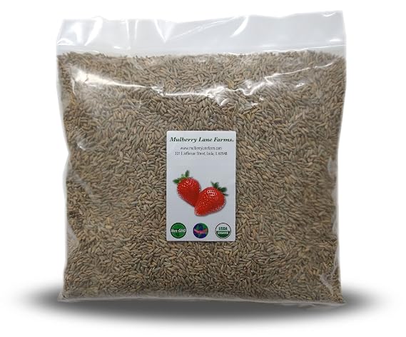 Rye Berries, 5 Pounds USDA Certified Organic, Non-GMO Bulk, Product of USA, Mulberry Lane Farms