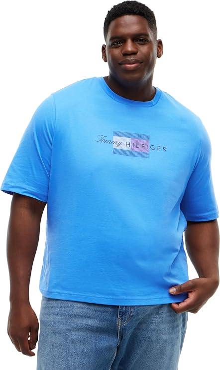 Tommy Hilfiger Men's Bt-Script Flag Tee-b Mw0mw45120 S/S T-Shirt (Pack of 1)