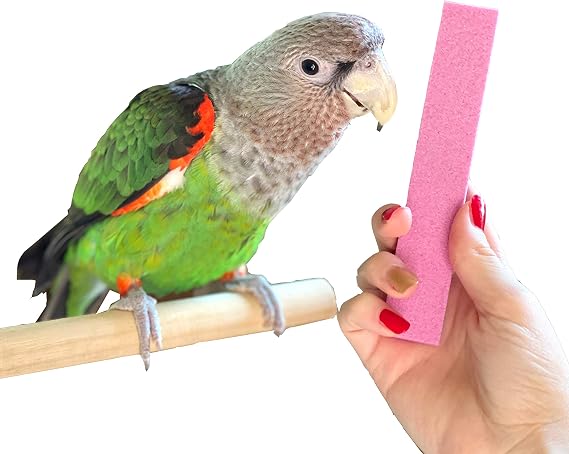 Parrot Nail Trimmer Stone for Grooming Parrot Claws