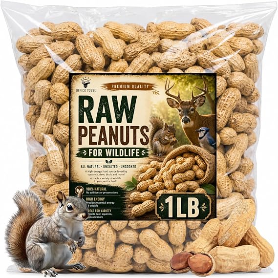 Office Roast Raw Peanuts in Shell 1 lb Bag Unsalted, Natural & Healthy Snack Plain Peanuts for Squirrels, Birds & Wildlife Feed