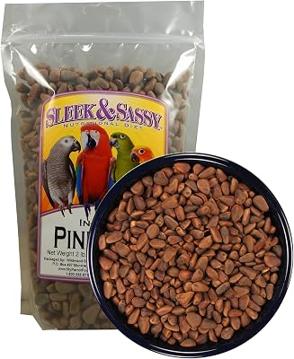 SLEEK & SASSY in-Shell Pine Nuts for Birds 32 oz.