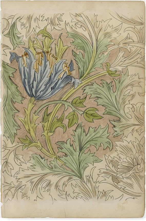 Trademark Fine Art Floral Pattern Study Iii by Ethan Harper, 12x19-Inch