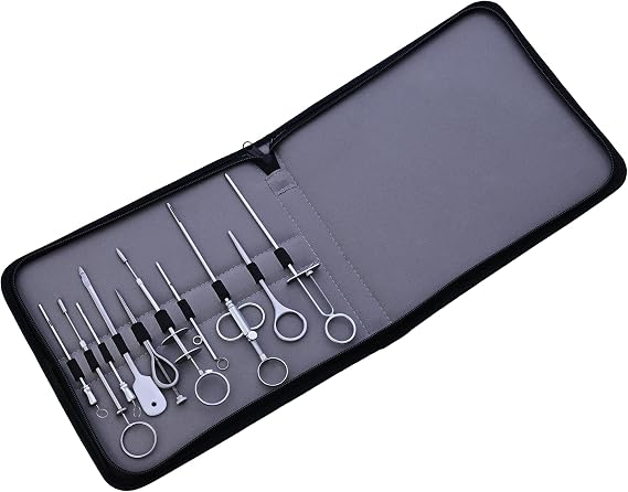 Teat Instruments for Dairy Cows | Enhances Milk Flow | Durable Brass & Stainless Steel Design | Professional Tool for Efficient Milking (10pcs Kit)