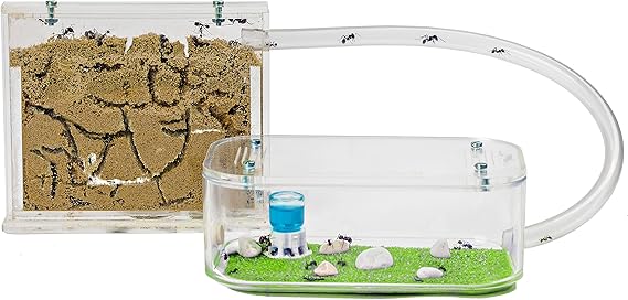 AntHouse - Natural Sand Ant Hill- Basic Kit | Sandwich (4.72 x 3.94 x 0.39 in) + Forage Box (7.09x 3.94 x 1.97 in) | Ant Farm