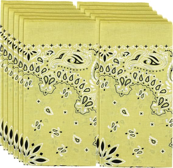 MW Watersports Cotton Bandanas, Bulk 12 Pack Ideal for Men and Women Classic Western Paisley Design Large Dimensions