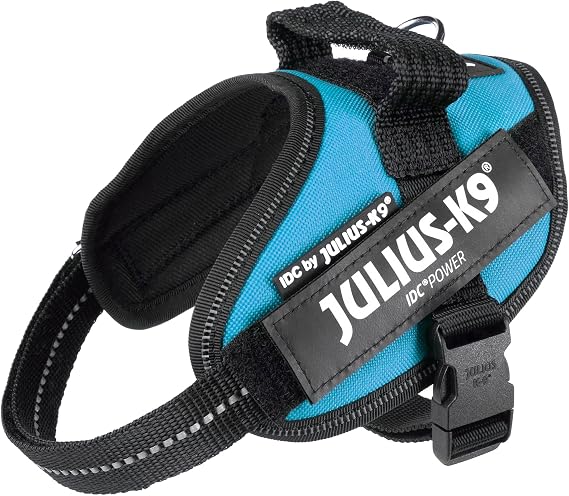 IDC Power Harness, Size: XS/Mini Mini, Aquamarine