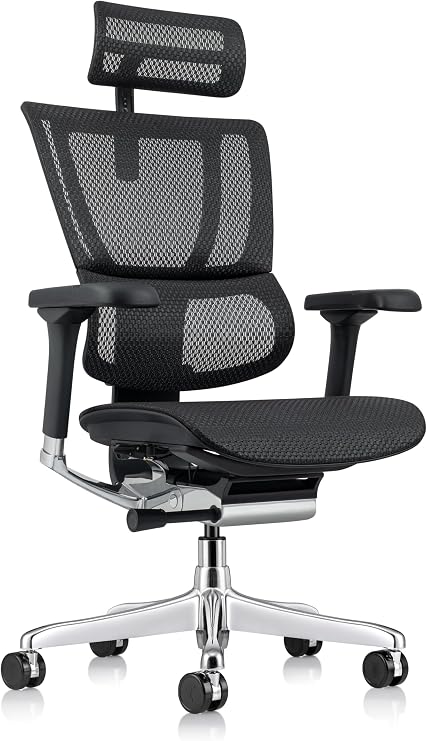 Ergohuman Eurotech ME2ERG-XTREME High Back Mesh Office Chair with Tilt Tension Control, Tilt Lock, Back Angle, Back Height, Synchro Tilt, Seat Height, Seat Depth, and Arm Height Adjustments