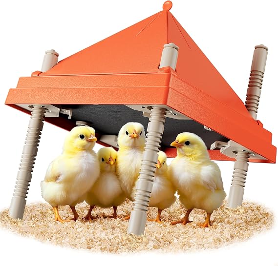 Brooder Box for Chicks with 10" x 10" Brooder Plate, Adjustable Height, Anti-Perching Lid, Holds 15 Chicks, Rapid Heating Chick Brooder Orange