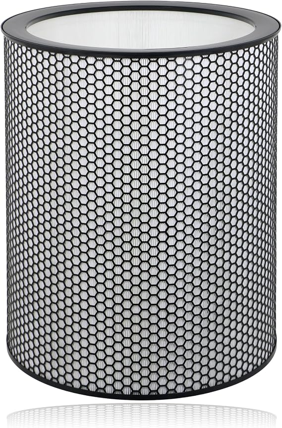 DYSON Big & Quiet Air Purifier Filter BP03 BP04 BP06 True HEPA 972132-01