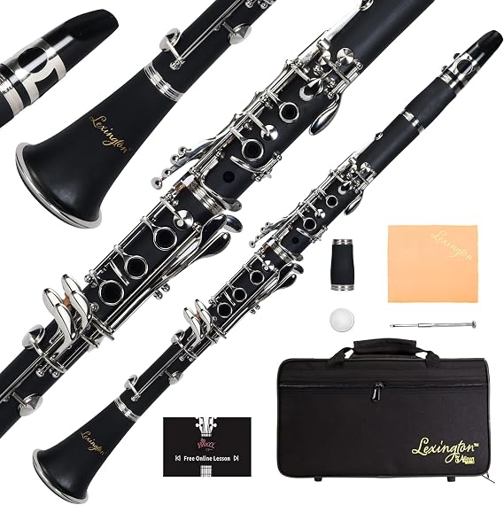 Aileen Lexington Bb Flat 17 Key Clarinet with One-Month Free Lesson, Reed, Mouthpiece, Hard Case, Cork Grease, Screwdriver and Other Kit Black, 17 Key