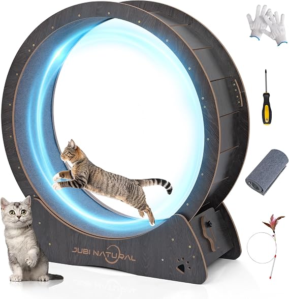 43" Cat Exercise Wheel for Indoor Cats, 40" Diameter, Black