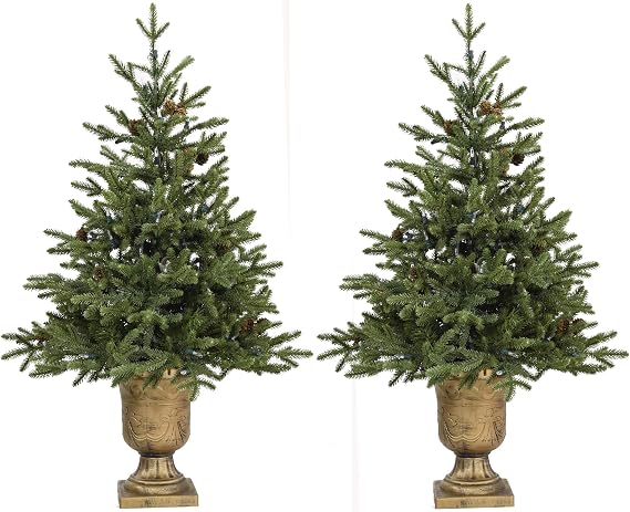 Fraser Hill Farm 3-Ft Noble Fir Accent Trees in Pedestal Urn, Set of 2