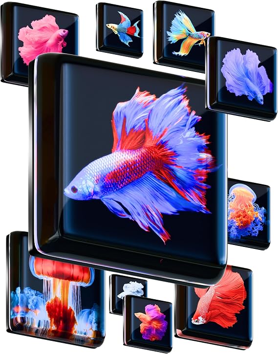 Super Cute Glass Fridge Magnets, Black Fish, 12 pcs