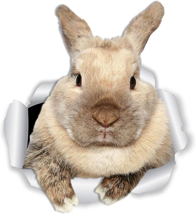 Winston & Bear Rascally Rabbit Wall Decals - Easter Decor - 2 Pack - Bunny Toilet Sticker - 3D Cat Car Window and Bumper Sticker - Retail Packaged Bunny Rabbit Gifts