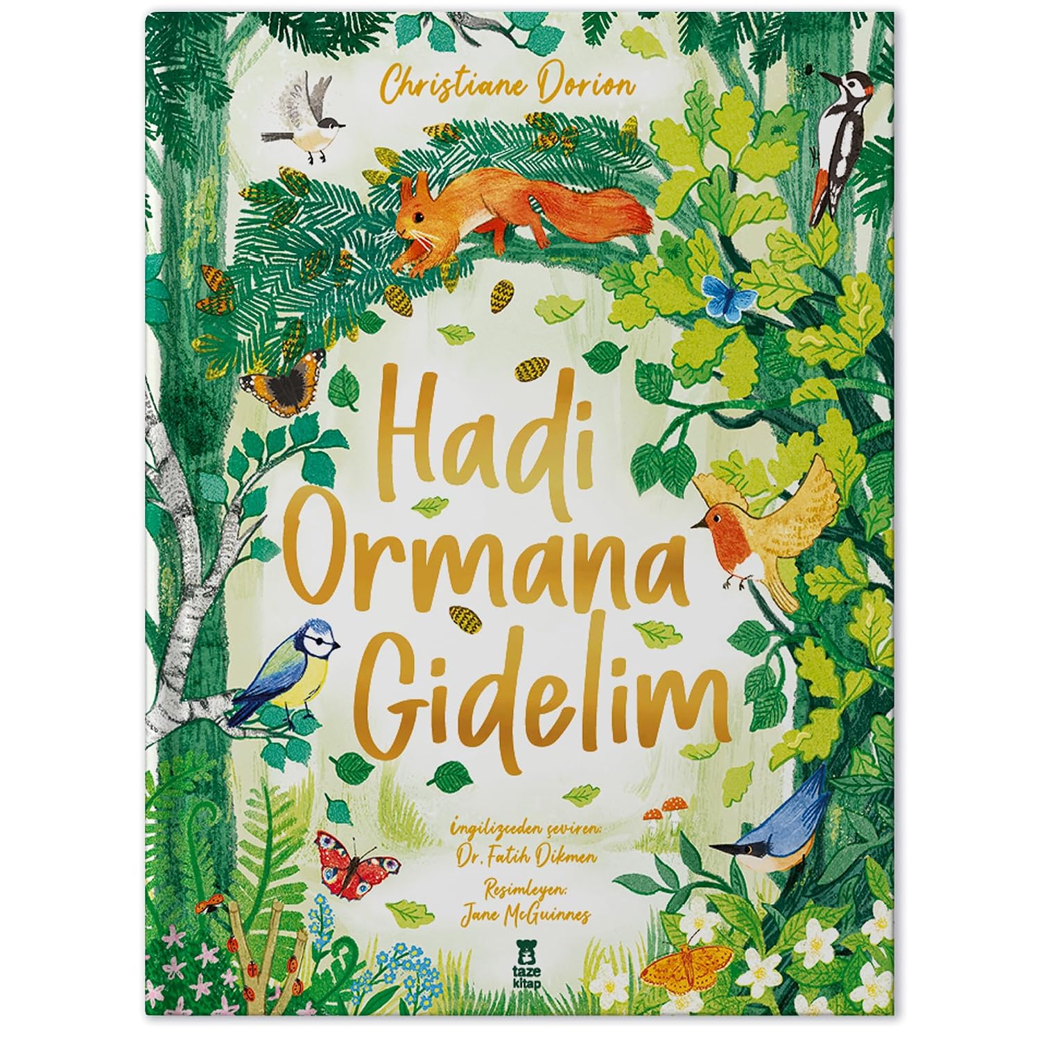 Lets Go to the Forest Hardcover Cover – May 1, 2020
