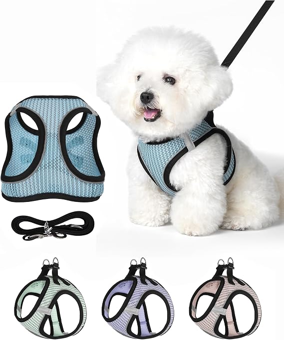 Dog Harness Small Sized and Leash Set, Step in Soft Light Puppy Vest, Breathable Mesh Pet Harness Suitable for Puppies and Kittens. (Blue, XS(Chest:11.81-14.17"))