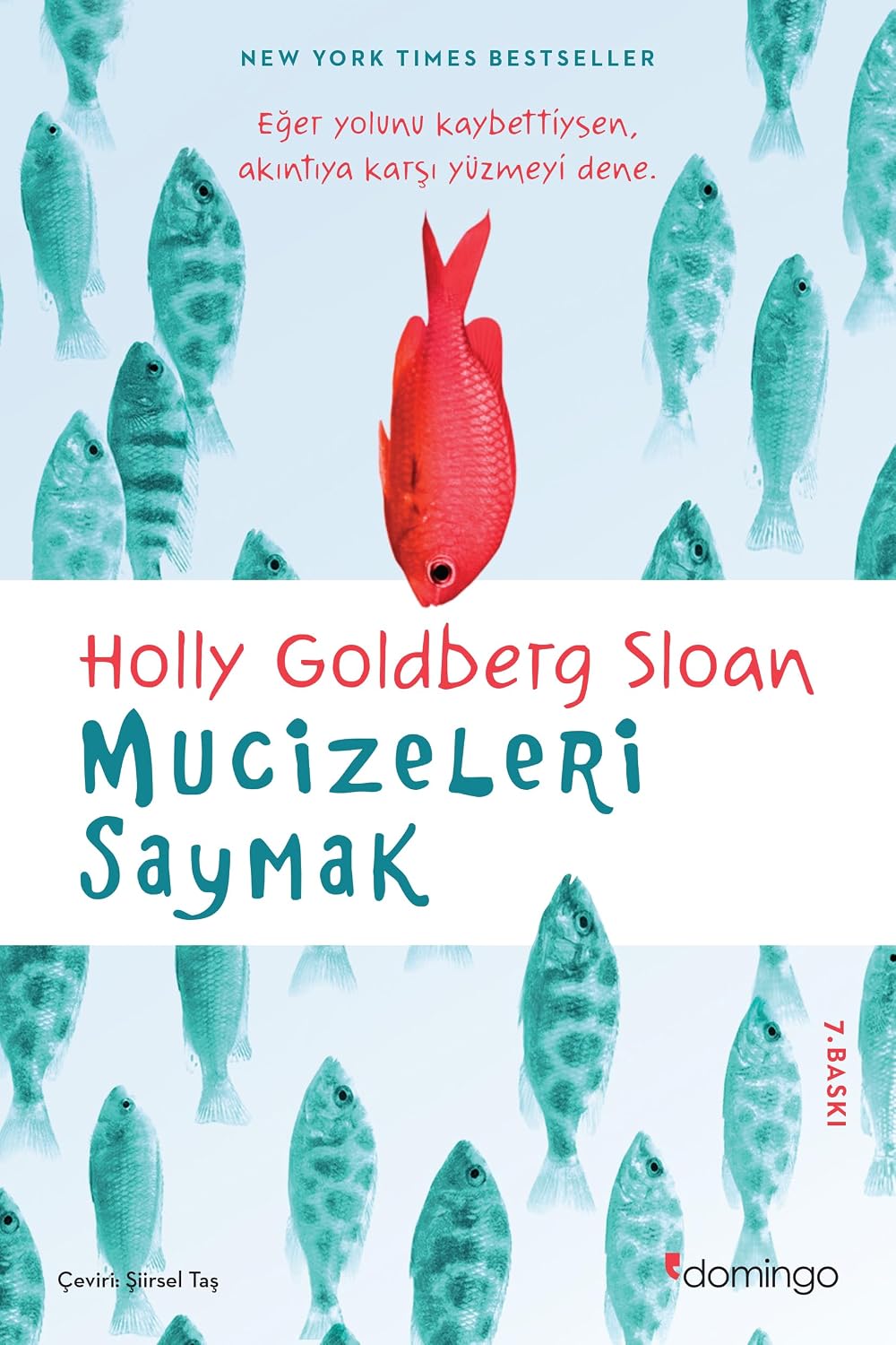 Mucizeleri Saymak Kağıt Kapak – 3 Ocak 2014
