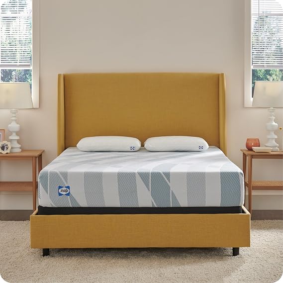 Sealy Dreamlife 10 Hybrid Mattress-in-a-Box, Queen, SealyComfort Gel Memory Foam, SealyResponsive Encased Coils, Surface-Guard Technology