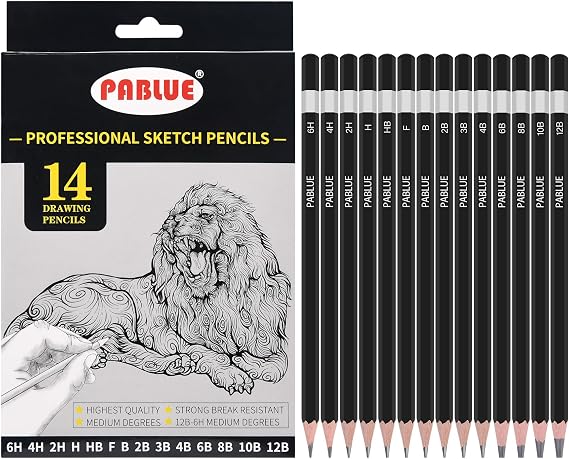 14Pcs Professional Graphite Sketch Pencils for Drawing (6H-12B)