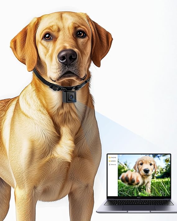 Cat/Dog Camera Collar, 1080P Video Recording Cameras for Pets,M-Size,No App,No Wi-Fi, Medium-Size Dog Collar Camera, Pet POV Cam(No Micro-SD Card Included)