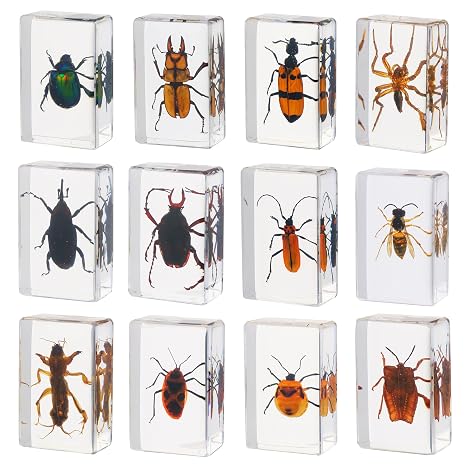 12 Pcs Insect in Resin - Bug Collection Educational Science Display Collection with 12 Unique Styles - Perfect for School Projects, Bug Collectors & Home Decor