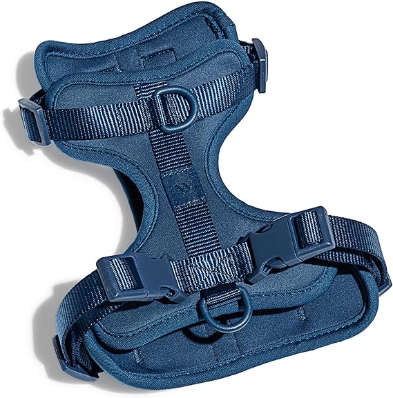 Wild One Harness 2.0 - Medium - Blue