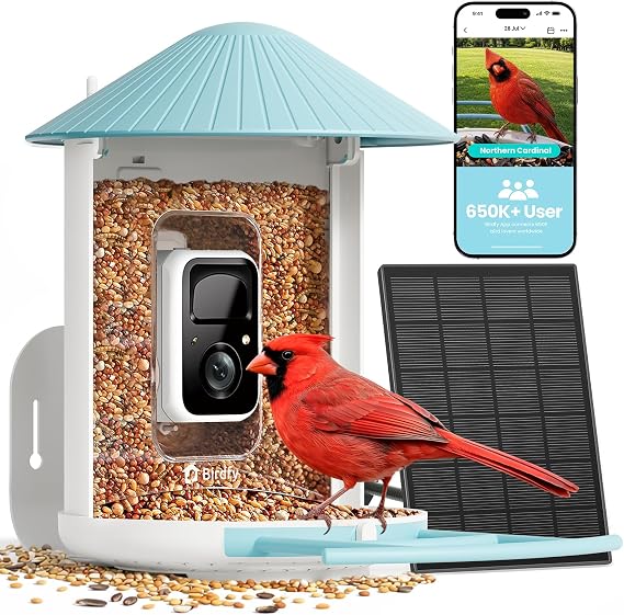 NETVUE by Birdfy Smart Bird Feeder with 2K AI Camera, Solar Powered | Auto Record & Notification, Accurate AI Bird ID, Free Cloud Storage, Share with 20+ Members, Work with Alexa