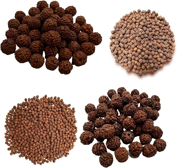 Naisha Natural Rudraksh 165 Piece Loose Rudraksha Beads Mala, Genuine Himalayan Meditation Bodhi Beads 8-14mm Jewelry Making DIY Big Lot 4 Different Sizes
