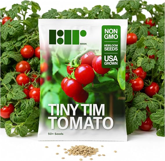 50 Tiny Tim Tomato Seeds for Planting - Patio Tomato, Dwarf Heirloom, Cherry Tomato - by RDR Seeds