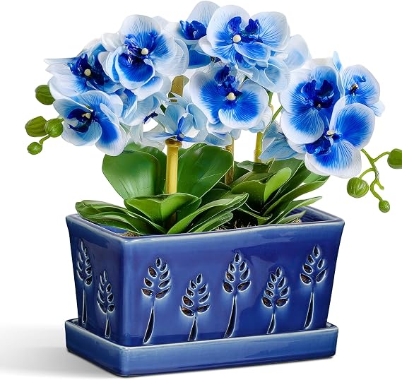 BUYMAX 10 Inch Ceramic Orchid Pot with Holes and Saucer for Root Health