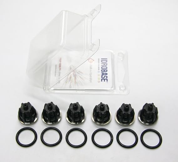 General Pump and Interpump Repair Kit 1 (Valves + O-rings)