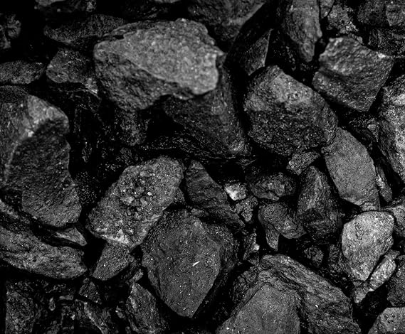 Blacksmith and Heating Coal Anthracite Nut Coal (10 Pounds)