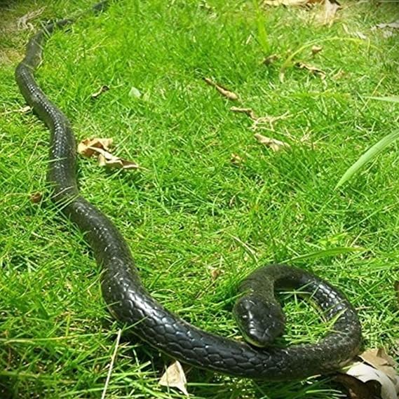47 Inches Rubber Lifelike Snakes Scary Gag Gift Incredible Rain Forest Wild Life Snake Toy