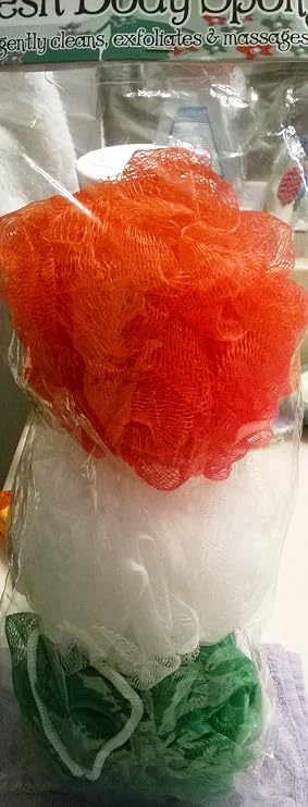 Swissco 3 Piece Value Pack Mesh Sponge