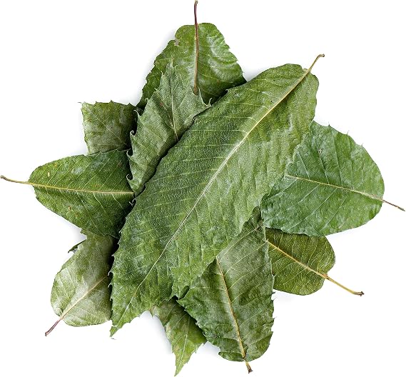 Horse Chestnut Herb Tea - Chestnut Tea 100g
