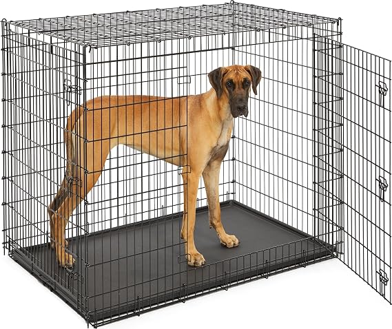 Solutions by Midwest 54-Inch Double Door Crate, Giant Breed Dogs, 100+ lbs