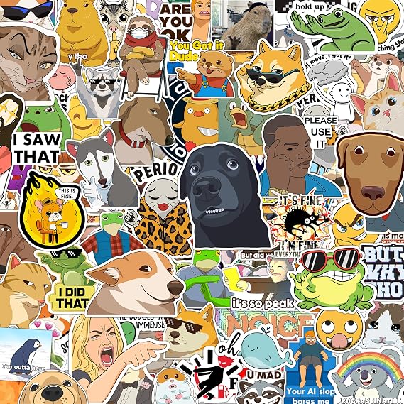 306pcs Funny Meme Vinyl Stickers Pack, Large Bulk Sticker for Laptop, Phone, Water Bottles, Computer Cars... Vine Sticker Decal DIY Decor for Bumper Accesory
