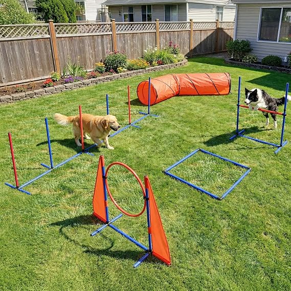 DWVO Dog Agility Accessories Kit: Comprises of a Teaser Pole, 2 Hurdles, 6 Weaving Poles, Agility Tunnel, Pause Box, Full Set of Agility Equipment for Backyard Indoors Outdoors