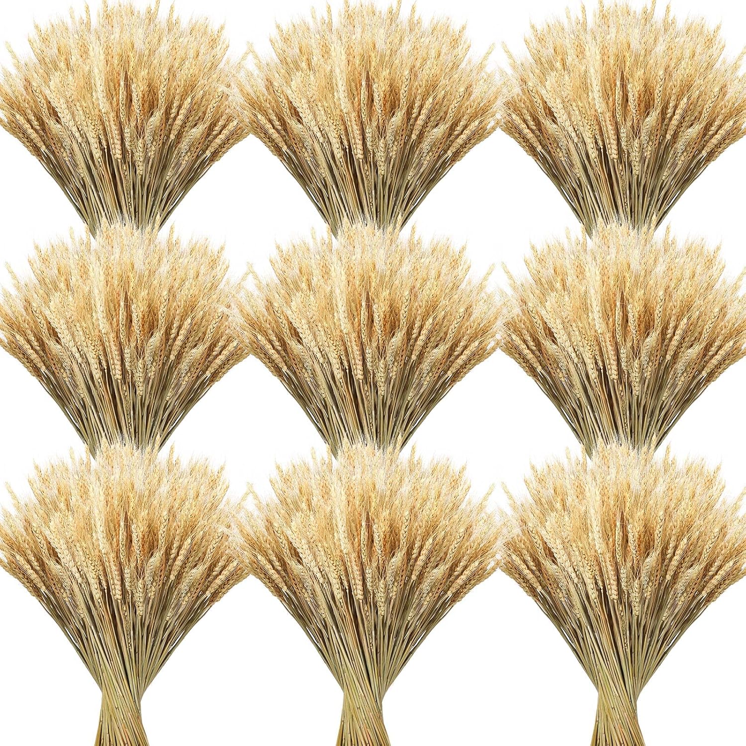 Geosar 600 Stems Dried Wheat Stalks for Decor Natural Wheat Grass Sheaves Bundle Farmhouse Artificial Flowers Arrangement for DIY Wedding Table Home Centerpieces Party Decorative17.5 Inch